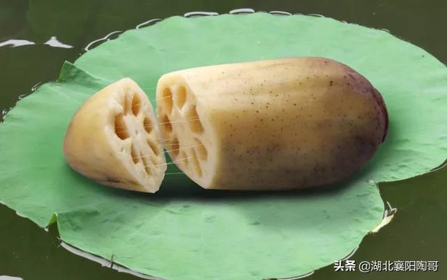 秋季养生，记住“三不吃、三不睡、三不做”，精神饱满过秋天