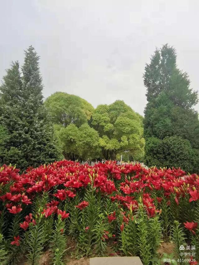 文章图片48