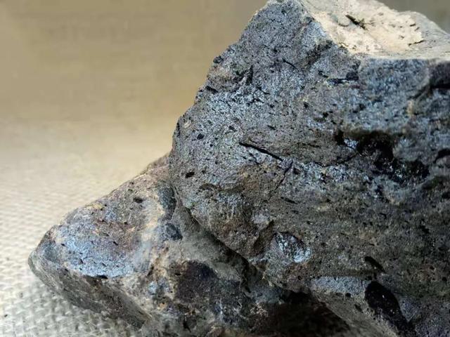 疮疡溃烂、跌打外伤、痔疮肿痛，可以用这种“以茶命名”的植物