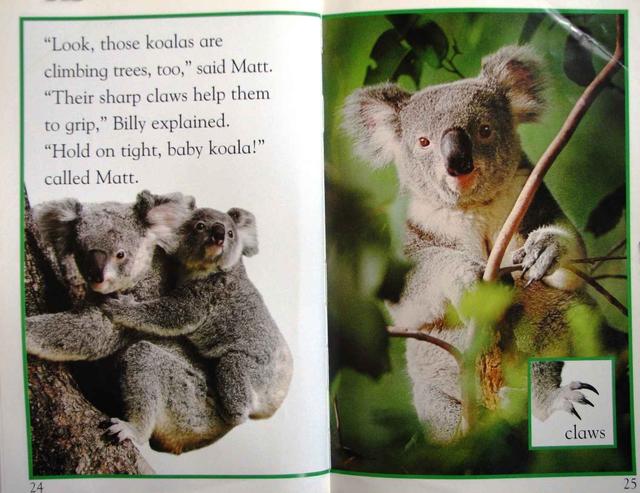 儿童英语科学启蒙绘本DK  Readers分级读物DK  pre--level  4