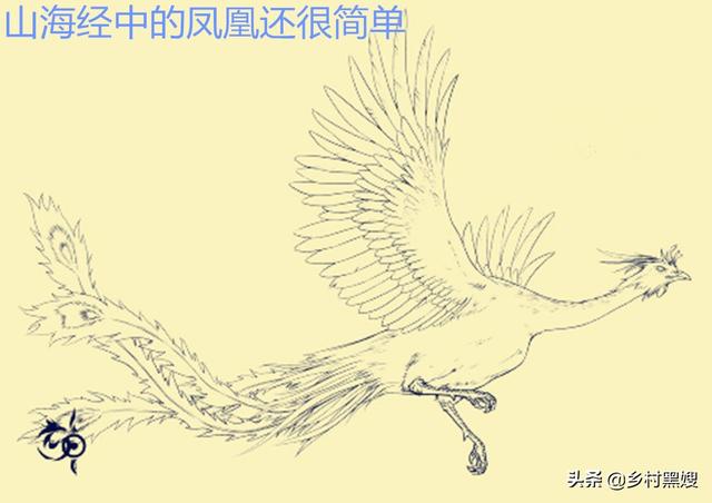 凤凰在古代究竟是种什么鸟？浅谈凤凰在古代的出现和转变