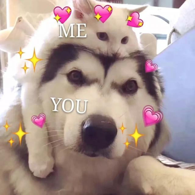 “我在妈妈肚子里玩绳子……”孩子的胎内记忆有多神奇