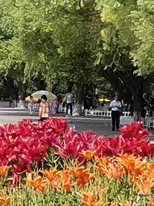 走进紫晨广场：文/李生财，图/郭翠枝