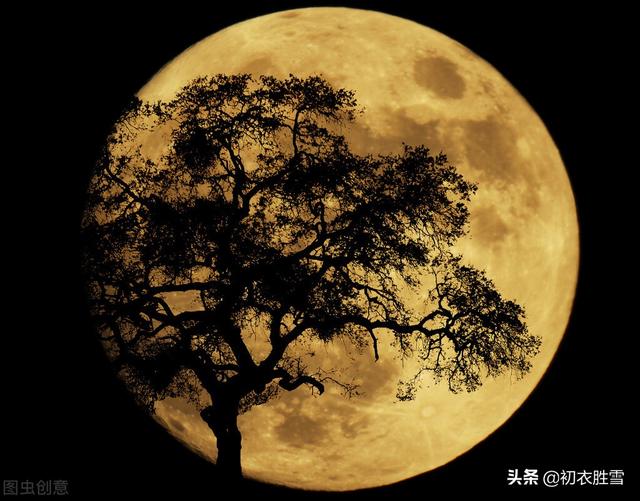 关于明月与故乡的诗句有哪些（中秋明月故人古诗词六首）