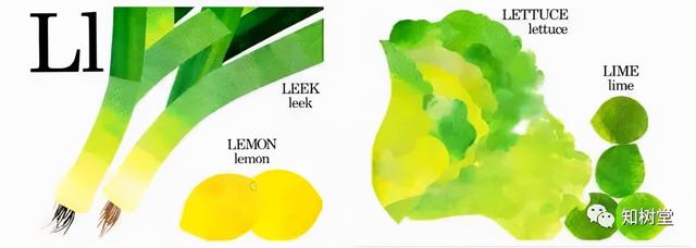 分享3本字母主题的经典英文绘本