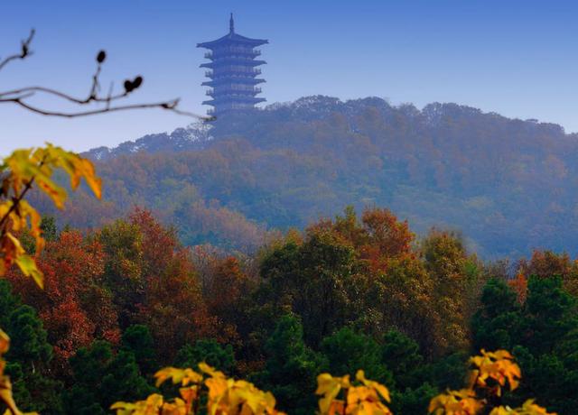 腾讯元老魏震抛弃名利，携全家隐居紫蓬山，如今拥有200亩的庄园