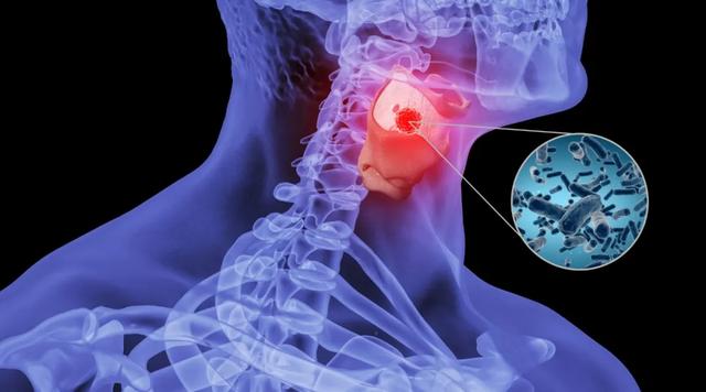 梅子的“最高境界”，是老祖宗的“护咽法宝”