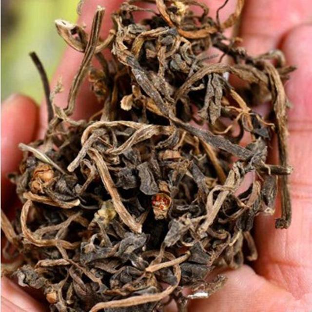 每日中药——马齿苋