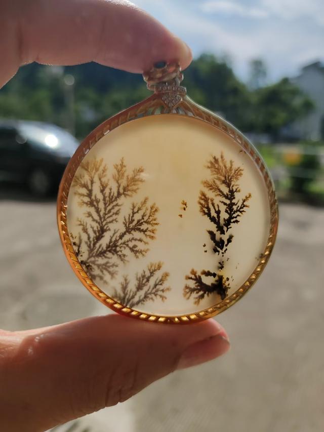 黄龙玉中的 王者 水草花 酷生活网