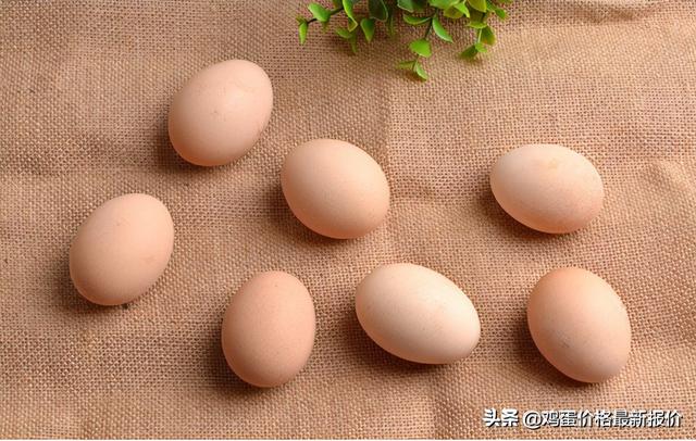鸡蛋：情绪跌价，坎位难过