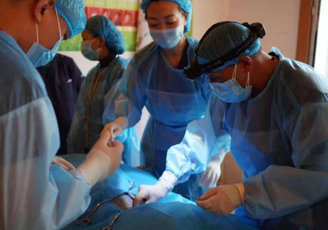 曾经市价3000万的藏獒，活成了悲剧