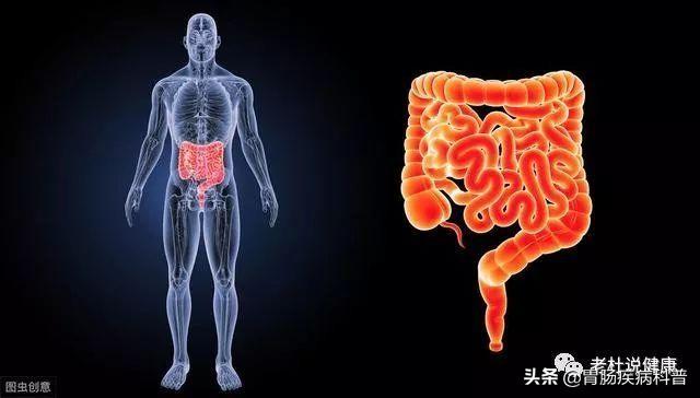 预防结直肠癌，除了改变生活习惯，这几种新方法你也要知道