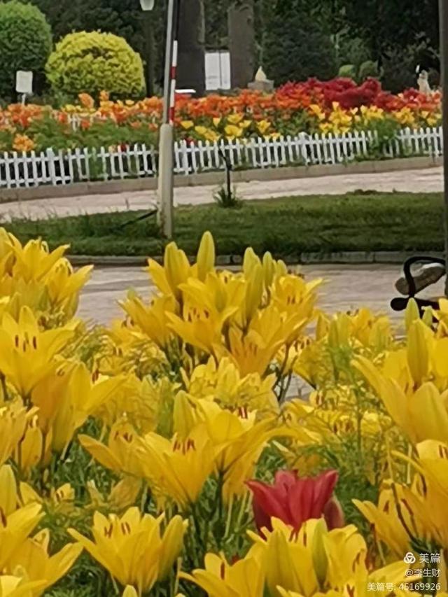 走进紫晨广场：文/李生财，图/郭翠枝