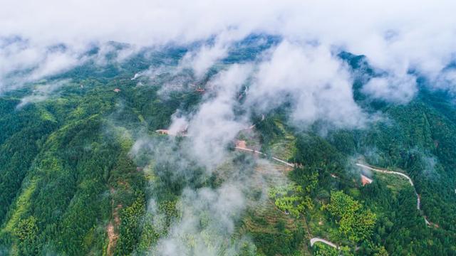 【我要去慶元避暑】不出省的療休養，就躲進避世的山野中享樂吧！