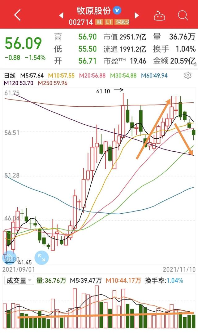 猪肉猪肉猪肉，ETF+龙头