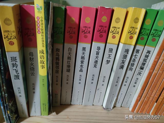 推荐一些自购的童书