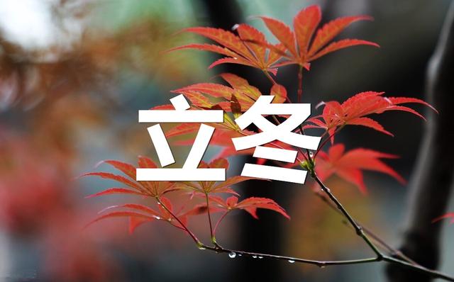 明天立冬 记得多吃三黑 三白 少食三样 顺应节气平安入冬 全网搜