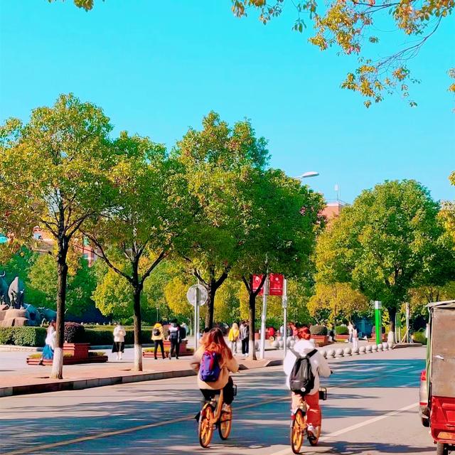 继长沙之后，谁是湖南第二城？岳阳、衡阳、常德和株洲展开争夺