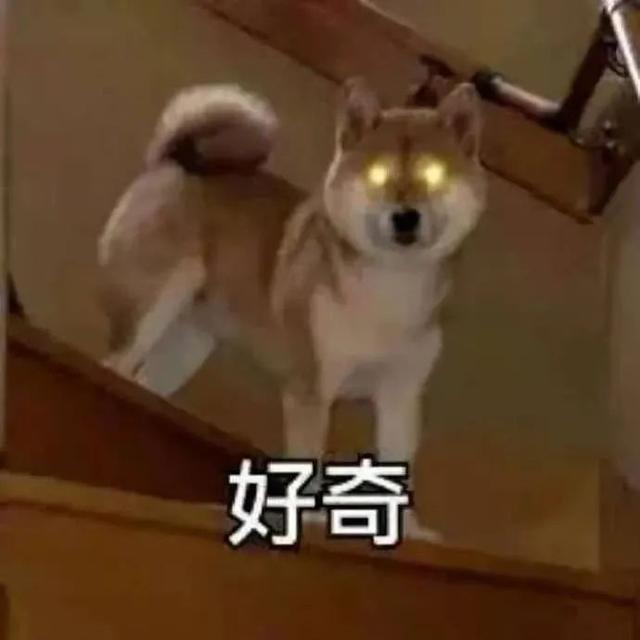 Wklloivzzezi7m
