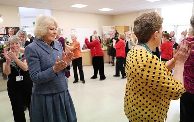 戴安娜卡米拉和查尔斯的故事（查尔斯双标）