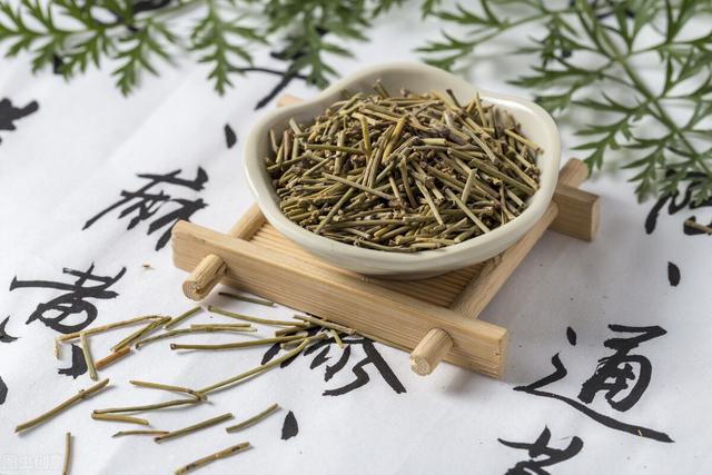 中药麻黄的配伍应用感悟