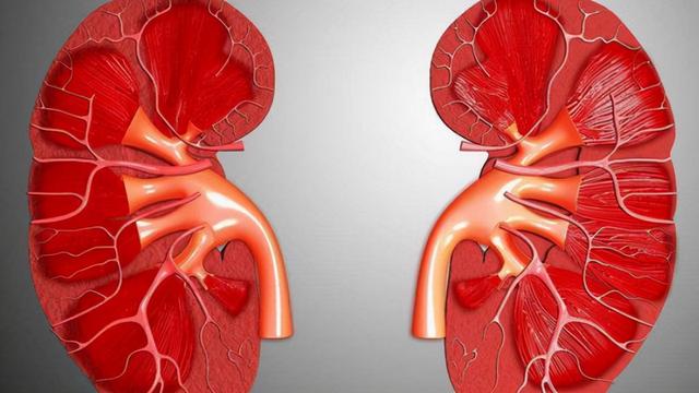 一喝水就尿多，代表肾脏好还是不好？看完这4点，你或许就明白了