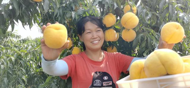 驻马店市驿城区蚁蜂镇：瓜果飘香 产业兴旺