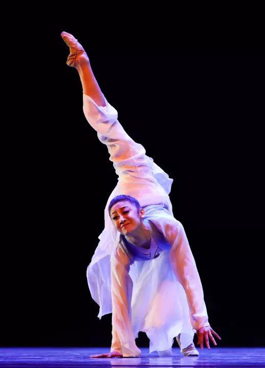 中国舞蹈家协会主席冯双白向全国发出征集令
