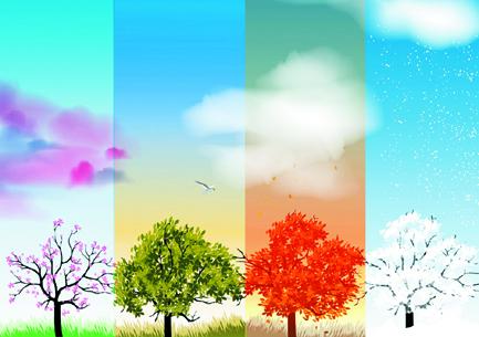 调补不仅在冬季，端午之后重“素补”