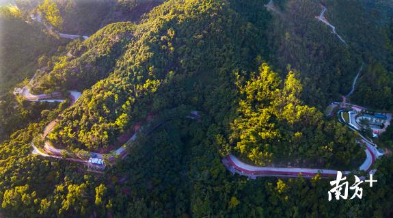 精致野趣还很智慧！155公里绿道串起罗湖山河湖林