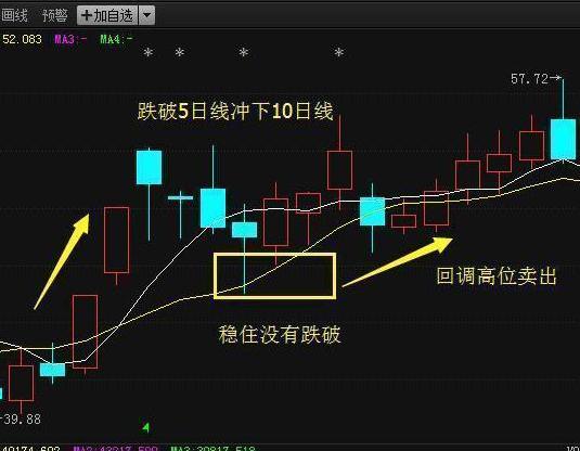 五粮液股票二十年走势图(五粮液股票一年走势图)-天天好股网