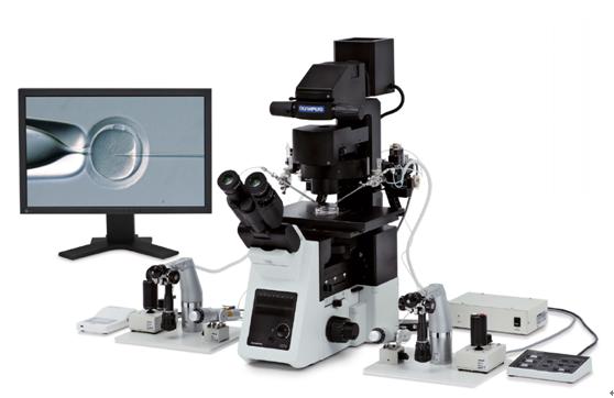 奥林巴斯显微科技，助力试管婴儿技术变革
