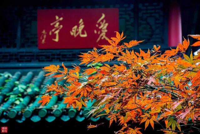 浼犺涓殑鈥滅孩鍙堕鎶モ€濓紝鐪熻兘甯︿綘鐪嬧€滄灚鈥濇櫙鍚楋紵
