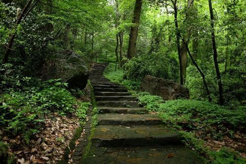 李隆郅:风浴、雨浴、自然浴……毛泽东为何有“麓山情怀”？