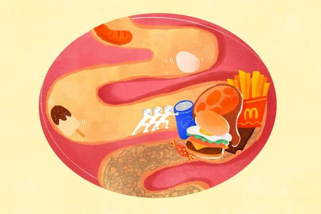 肠道是人体的“第二大脑”，“肠寿”才可能长寿！