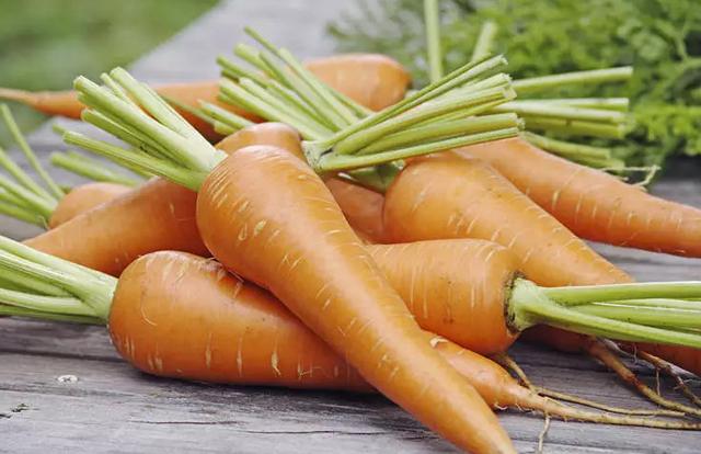 “冬月掘根，生熟皆可啖”这种大众果蔬是养生保健佳品