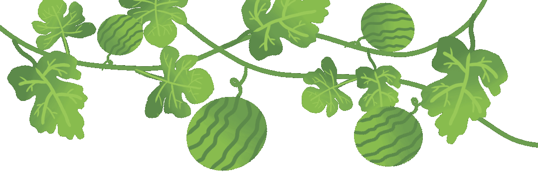 5种瓜营养成分“顶呱呱”，常吃的人身体都不会太差