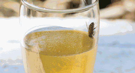 中午喝蜂蜜水有助解乏