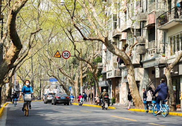 美墙工坊:上海马路那么多，他们为何扎根愚园路？