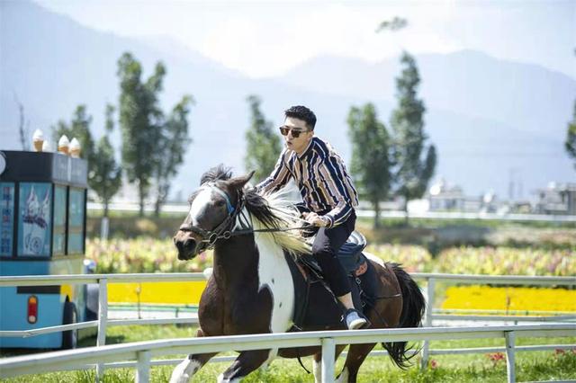 歸田園居 | 大理的這些花海田園，藏著最美的鄉愁、最慢的生活