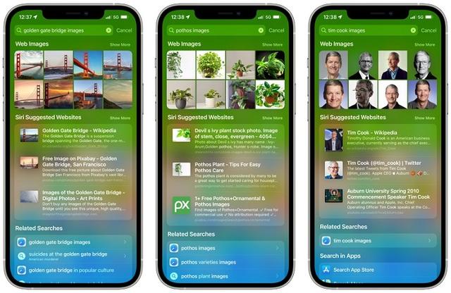 iOS 15搜索體驗大改進：涵蓋網圖、相冊、鎖屏訪問等更多內容
