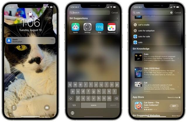 iOS 15搜索體驗大改進：涵蓋網圖、相冊、鎖屏訪問等更多內容