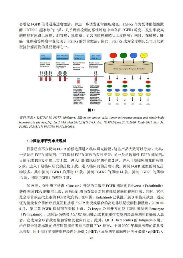 速覽 | 2020年度中國抗腫瘤新藥臨床研究評述