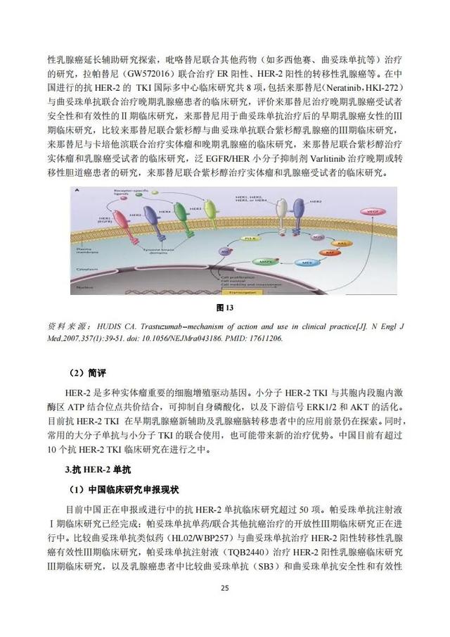 速覽 | 2020年度中國抗腫瘤新藥臨床研究評述