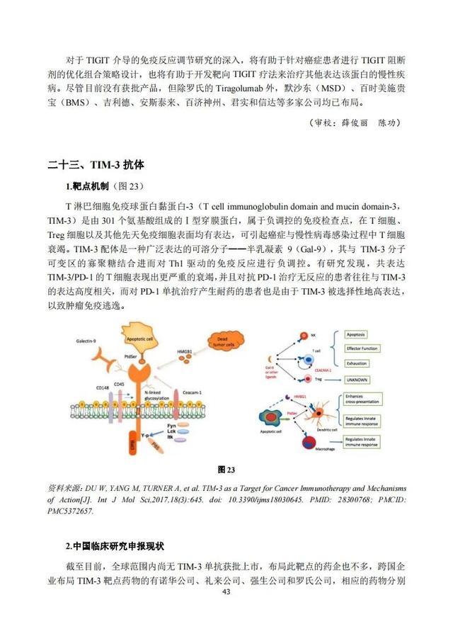 速覽 | 2020年度中國抗腫瘤新藥臨床研究評述