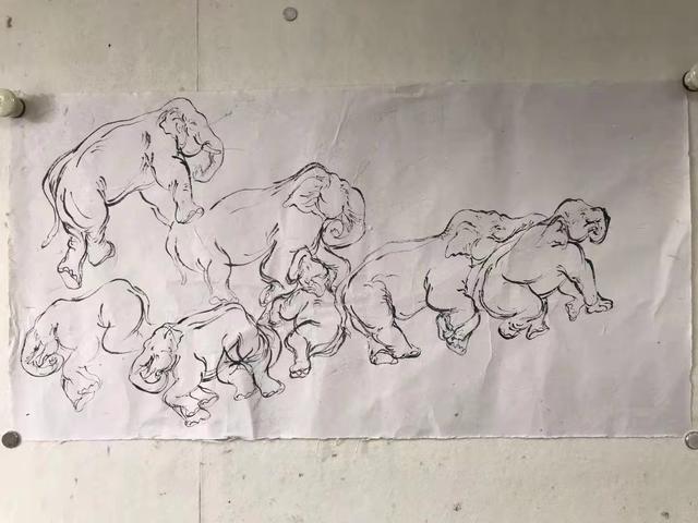 范揚筆下的“大象遊記”