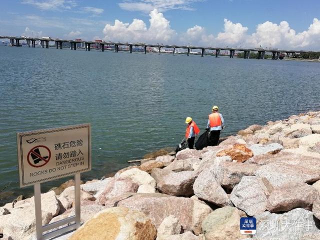 深圳市民反映宝安欢乐港湾漂死鱼垃圾，海事局：现象有季节性