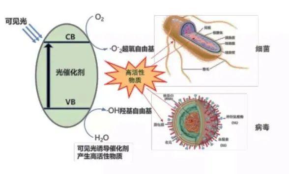 病毒灭活率99.9%!华东师大重庆研讨院这个"黑科技"除菌产物投用啦