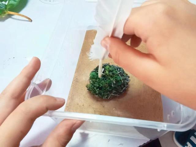 和孩子一起读书，养昆虫，认识大自然