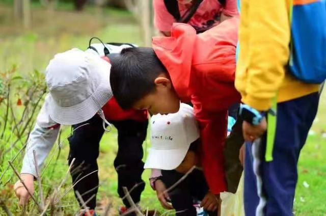 和孩子一起读书，养昆虫，认识大自然